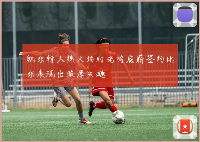 凯尔特人热火均对老将底薪签约比尔表现出浓厚兴趣